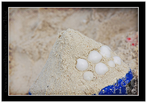 01_23_10CC-035