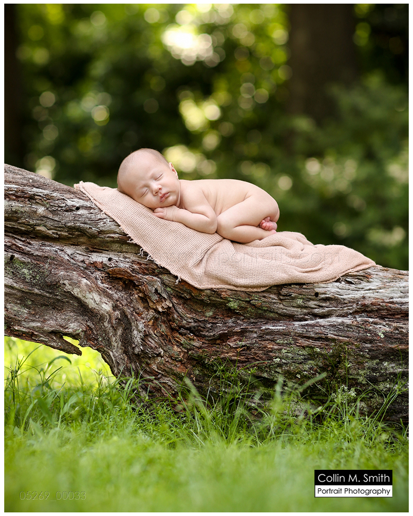 © Collin M. Smith Portrait Photography www.cmsmithportraits.com/blog