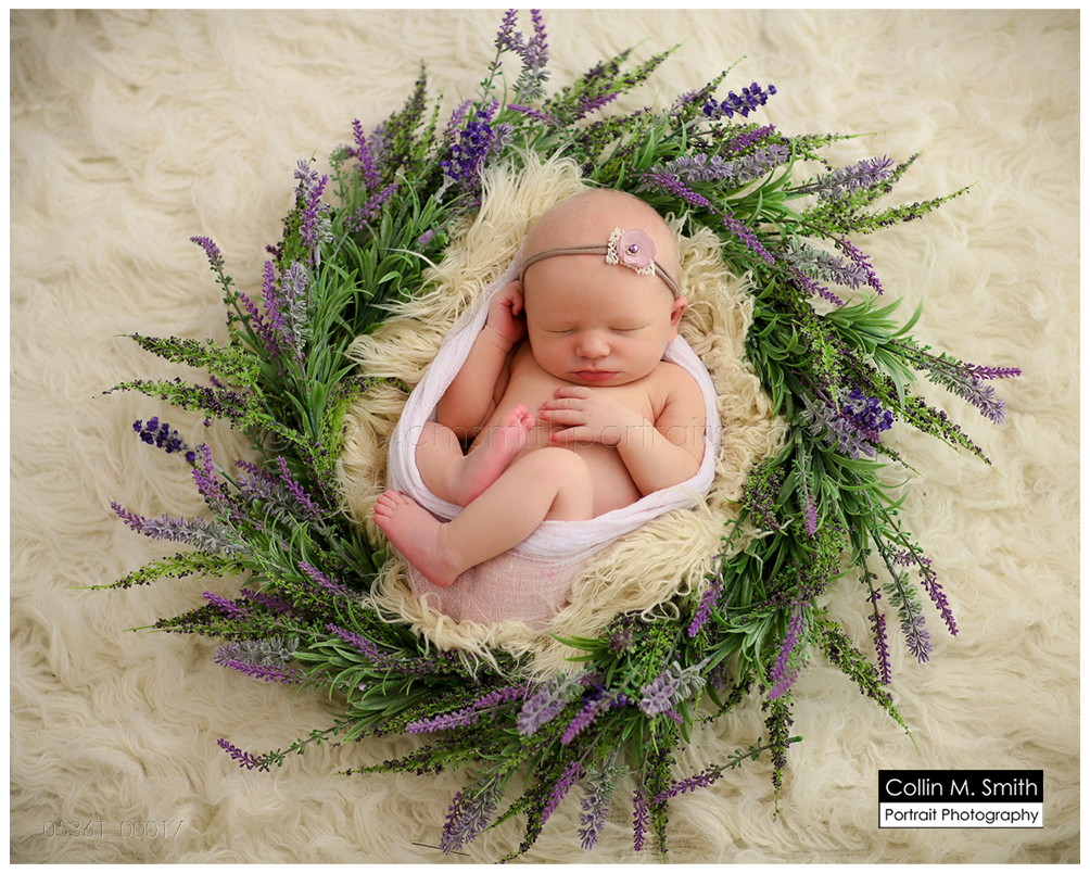 © Collin M. Smith Portrait Photography  www.cmsmithportraits.com/blog