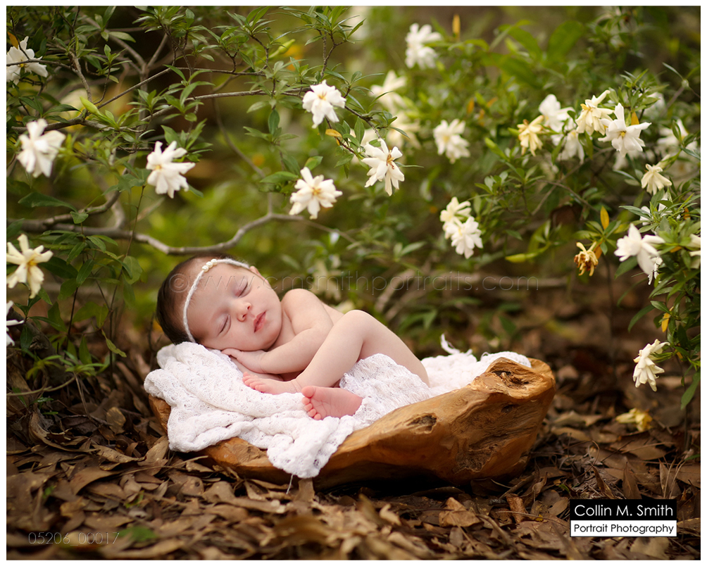 © Collin M. Smith Portrait Photography www.cmsmithportraits.com/blog