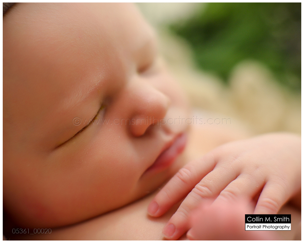 © Collin M. Smith Portrait Photography  www.cmsmithportraits.com/blog