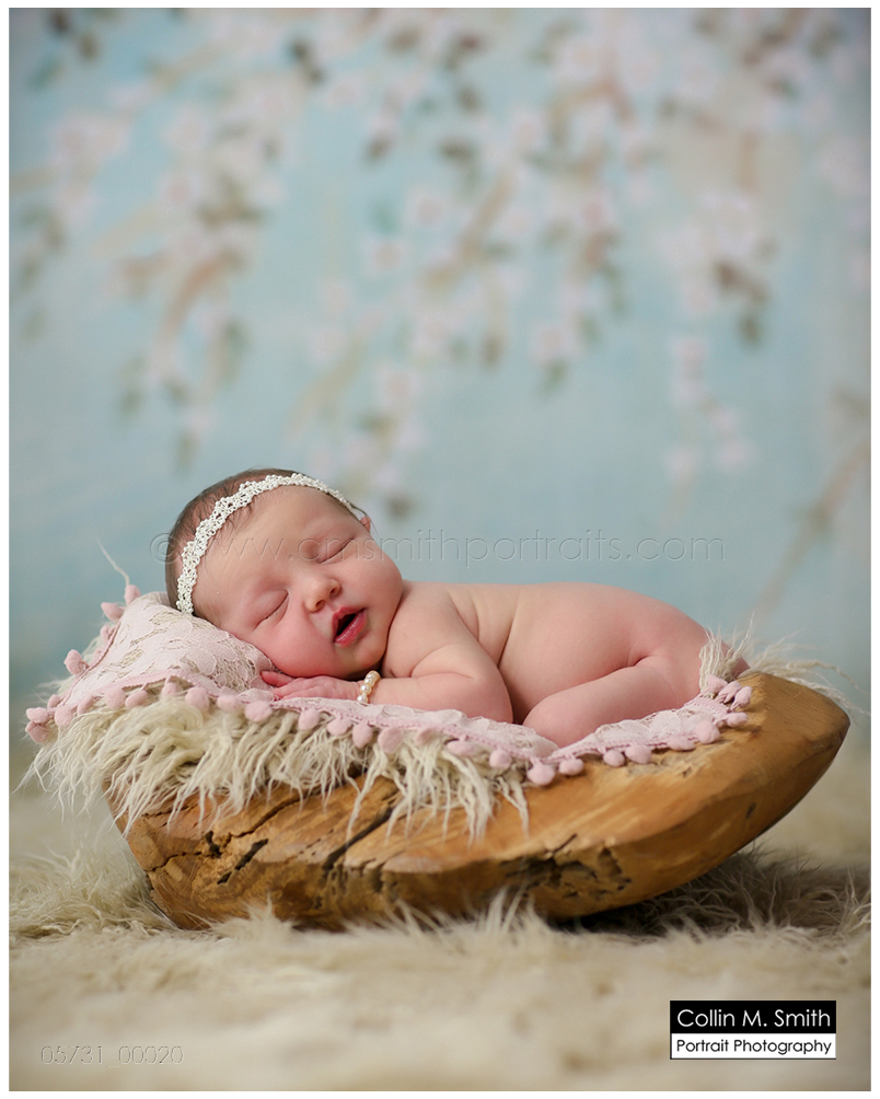 © Collin M. Smith Portrait Photography  www.cmsmithportraits.com/blog