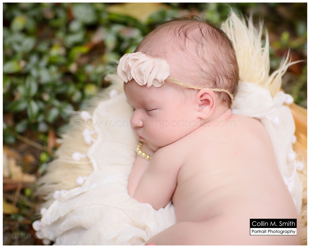 © Collin M. Smith Portrait Photography www.cmsmithportraits.com/blog