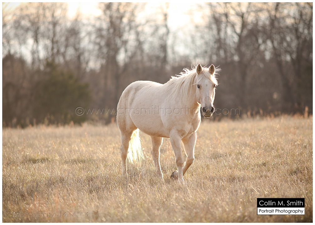 MO_cousins2014_00004FB