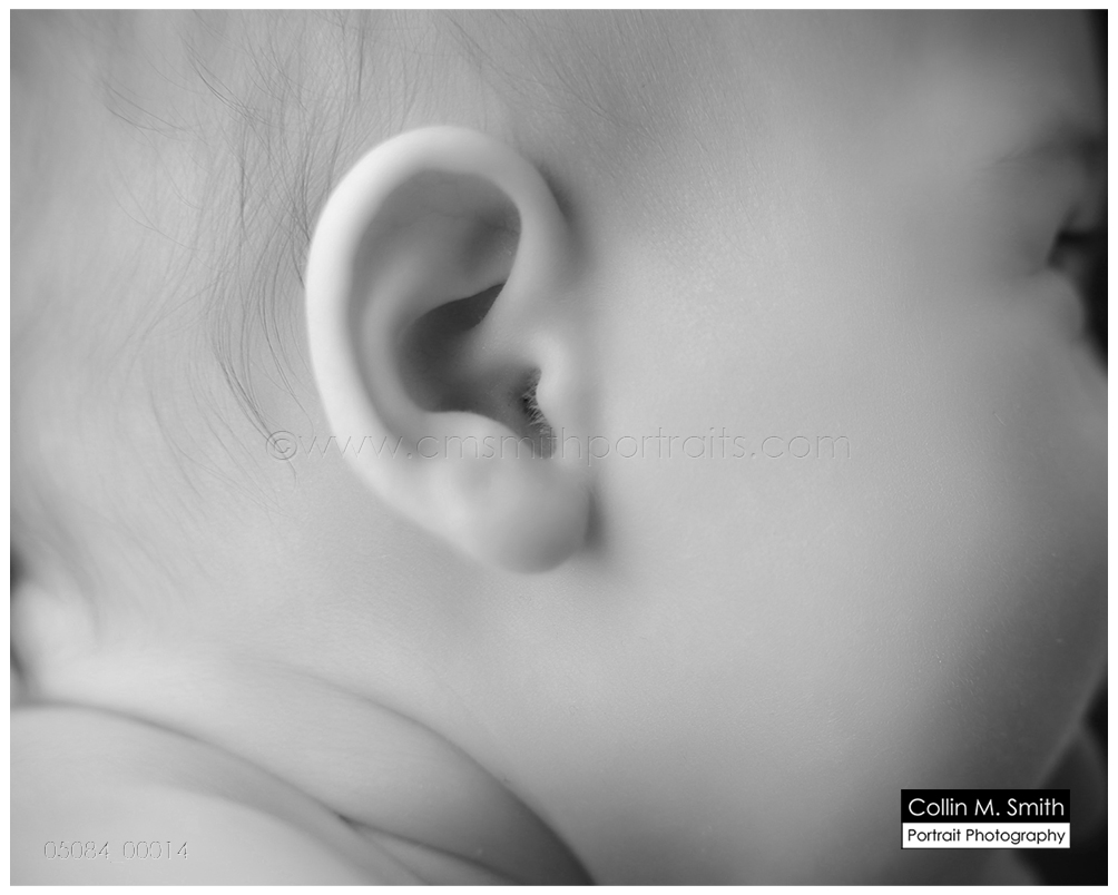 © Collin M. Smith Portrait Photography www.cmsmithportraits.com/blog