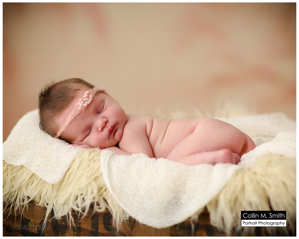 © Collin M. Smith Portrait Photography www.cmsmithportraits.com/blog