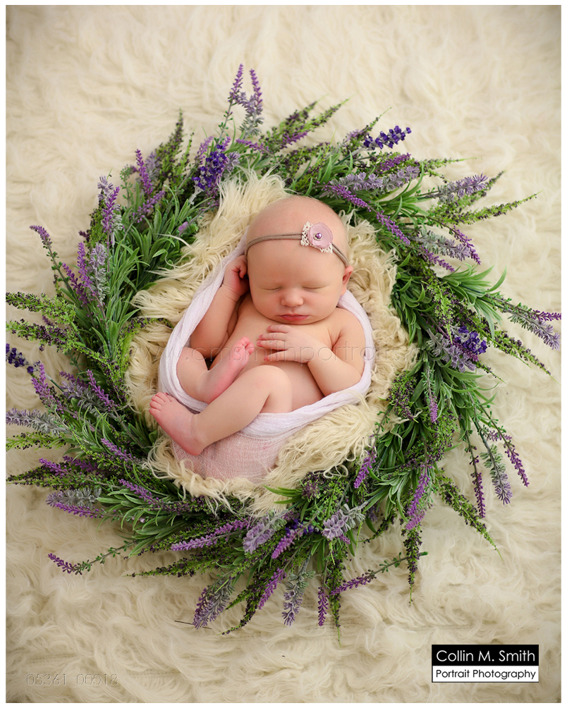 © Collin M. Smith Portrait Photography  www.cmsmithportraits.com/blog