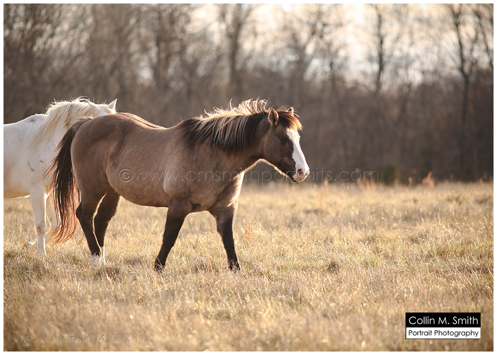 MO_cousins2014_00001FB