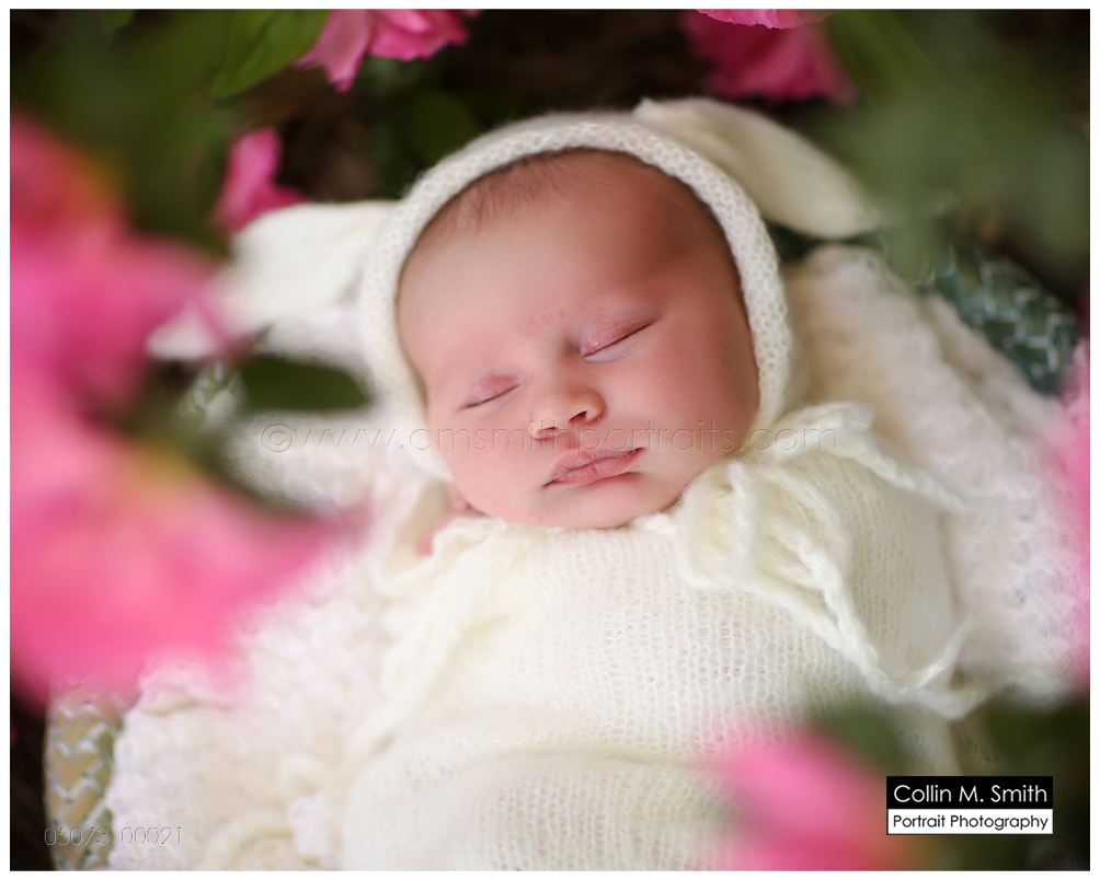 © Collin M. Smith Portrait Photography www.cmsmithportraits.com/blog