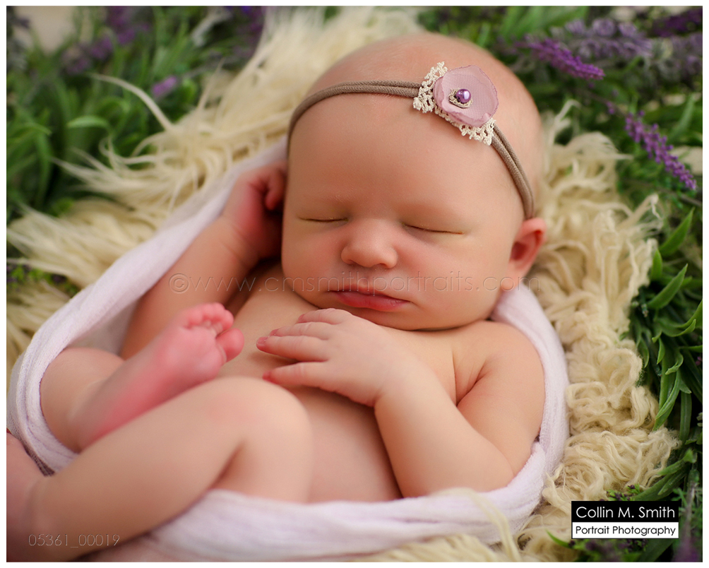 © Collin M. Smith Portrait Photography  www.cmsmithportraits.com/blog