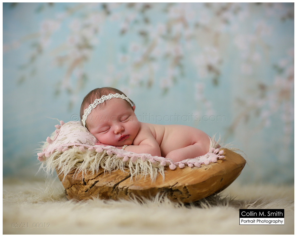 © Collin M. Smith Portrait Photography  www.cmsmithportraits.com/blog