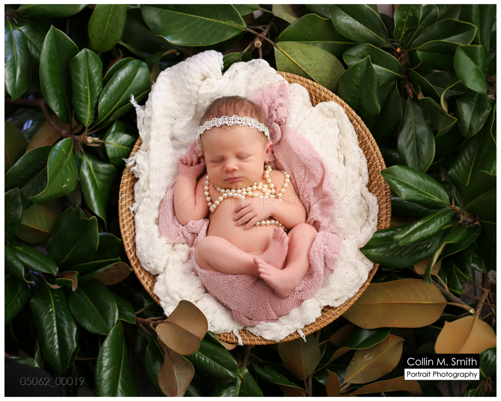 © Collin M. Smith Portrait Photography www.cmsmithportraits.com/blog