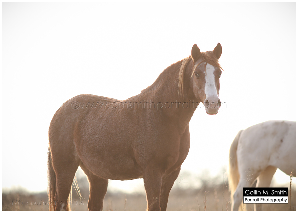 MO_cousins2014_00006FB