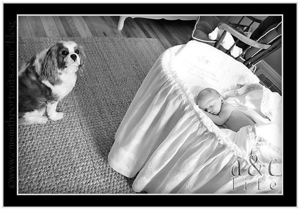 Blanton5_16_10_0090fb