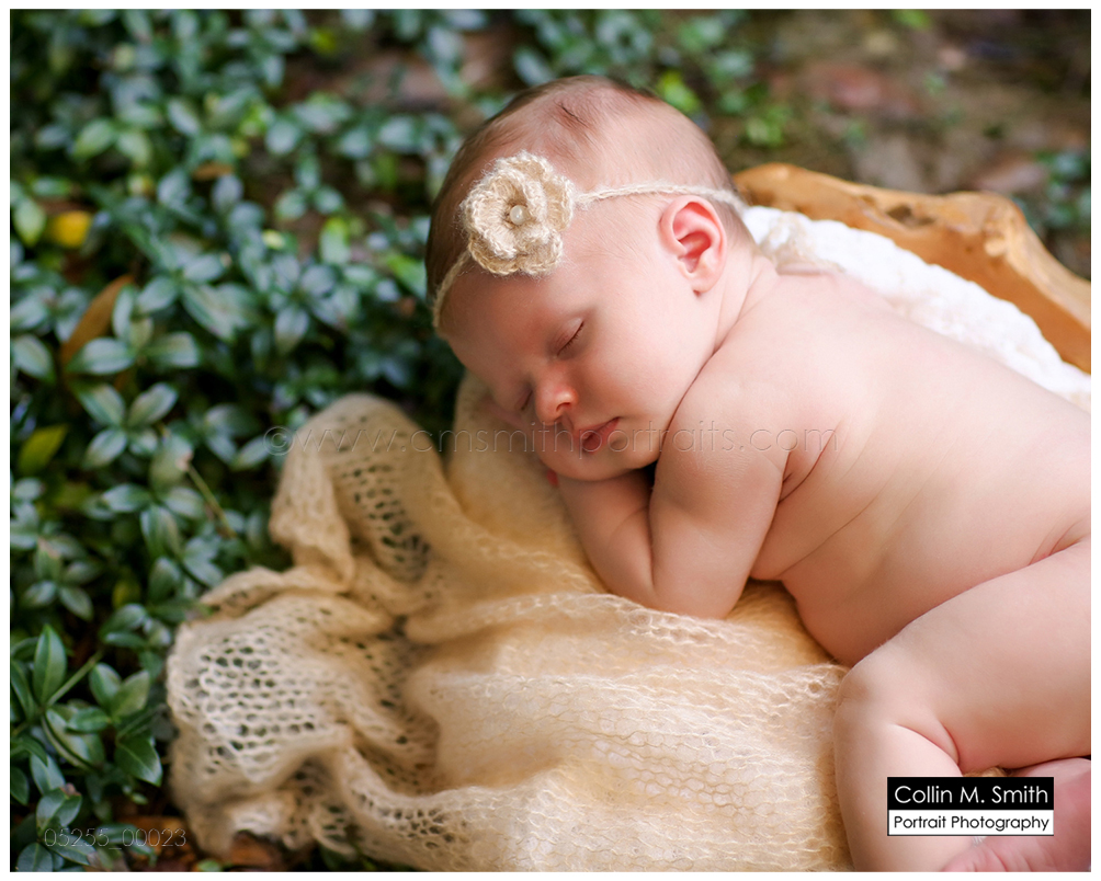 © Collin M. Smith Portrait Photography www.cmsmithportraits.com/blog