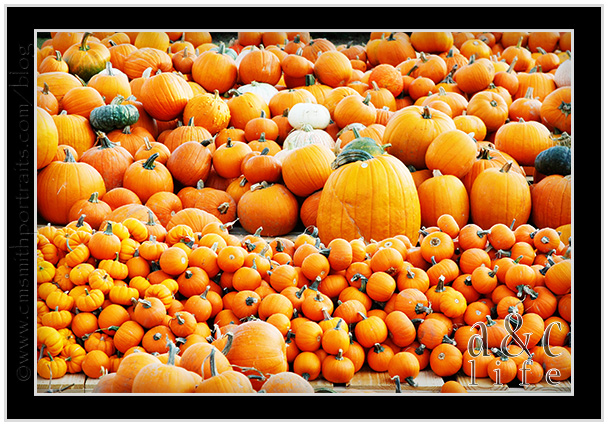 09_27_09pumpkinsFB-040