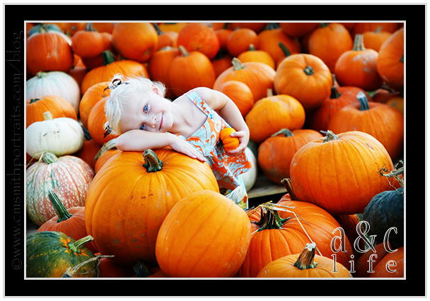09_27_09pumpkinsFB-041