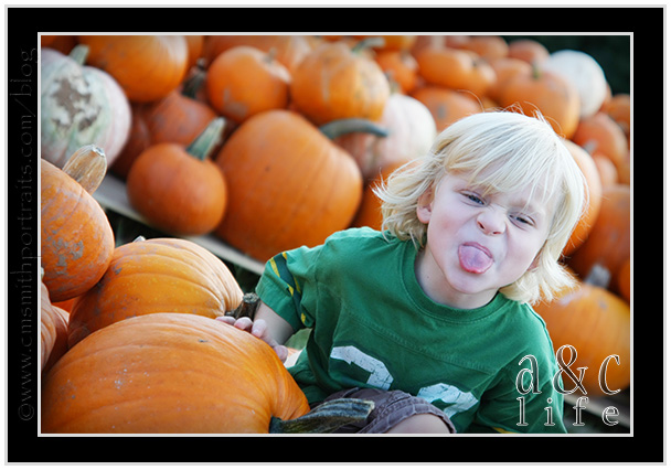 09_27_09pumpkinsFB-011