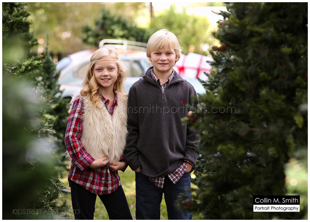 KIDSTREEFARM_00003FB