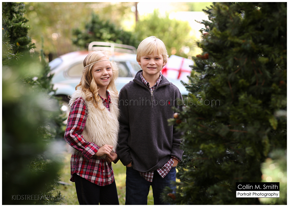 KIDSTREEFARM_00004FB