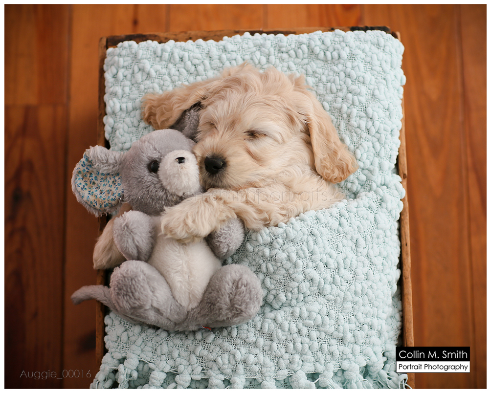 © Collin M. Smith Portrait Photography www.cmsmithportraits.com/blog