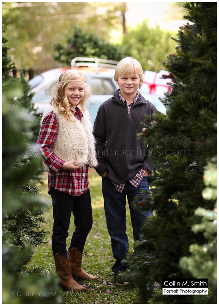 KIDSTREEFARM_00007FB