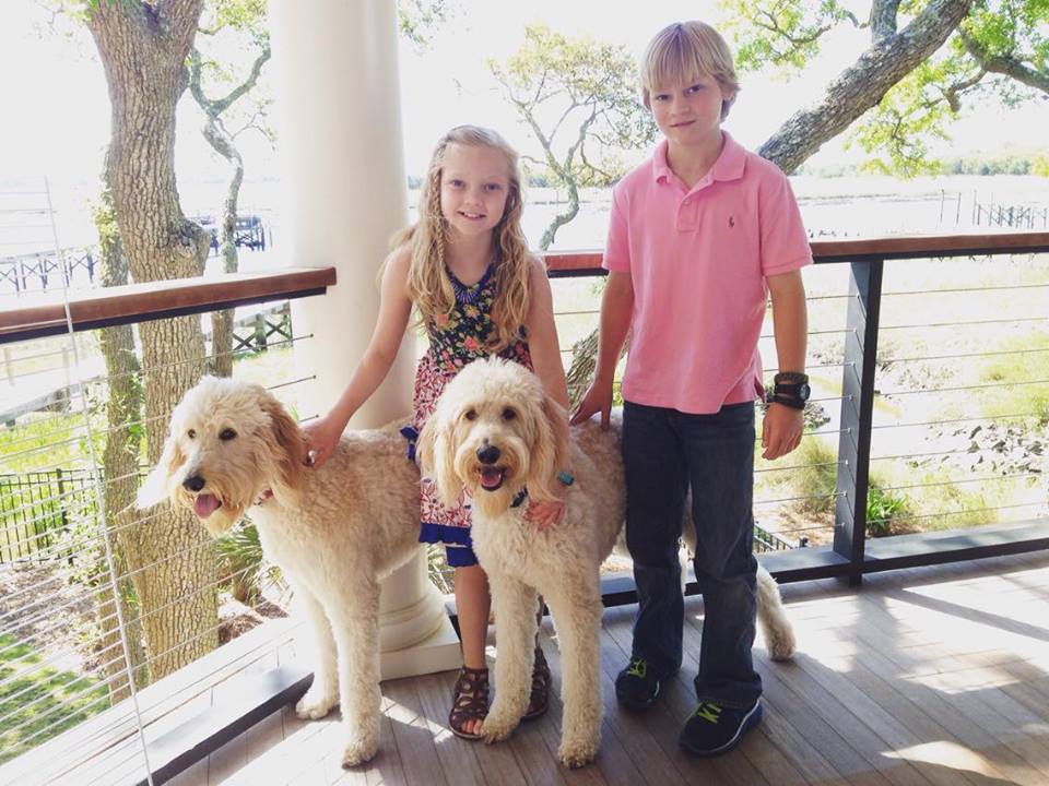 13023553_10208542952186875_913031128_n