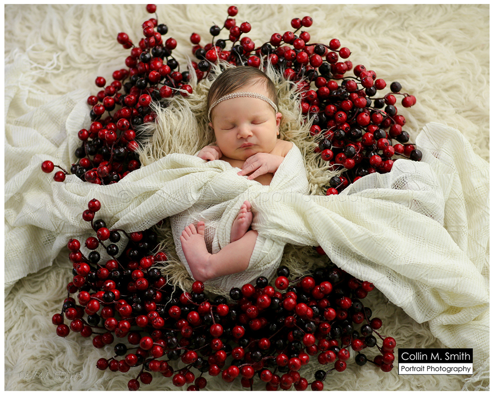 © Collin M. Smith Portrait Photography  www.cmsmithportraits.com/blog