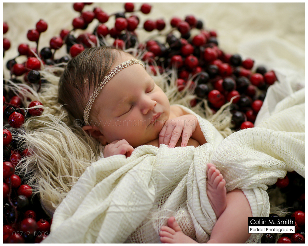 © Collin M. Smith Portrait Photography  www.cmsmithportraits.com/blog