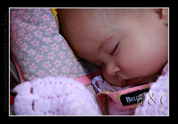 2009Thanksgiving-046