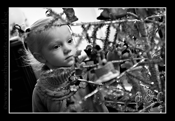 2009Thanksgiving-018