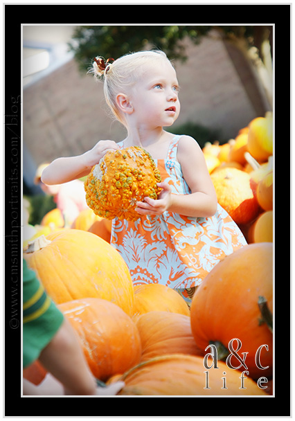 09_27_09pumpkinsFB-002