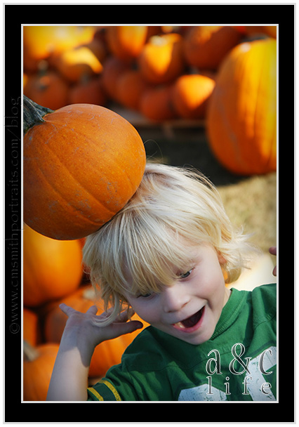 09_27_09pumpkinsFB-003