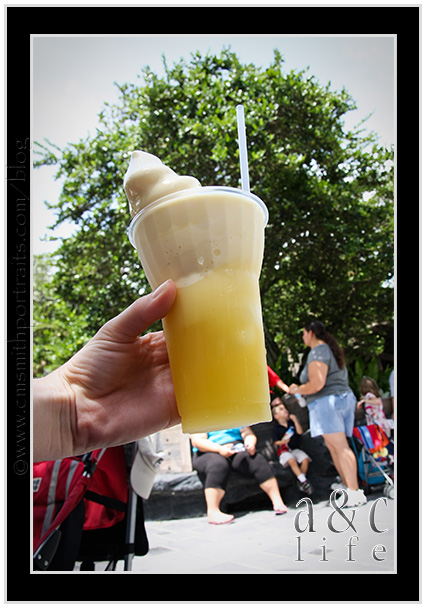 Disney08_09-067